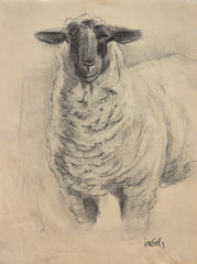 Sheep Study II